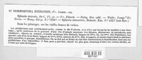 Hormospora stercoris image